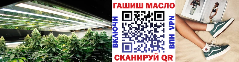 Купить где  Заволжье  ТГК гашишное масло 
