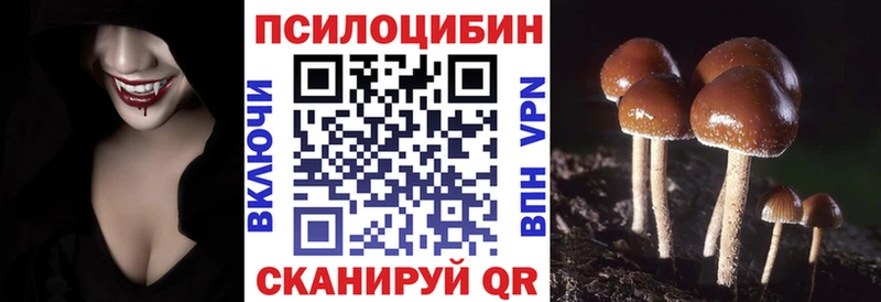 Купить где  Заволжье  Галлюциногенные грибы мухоморы 